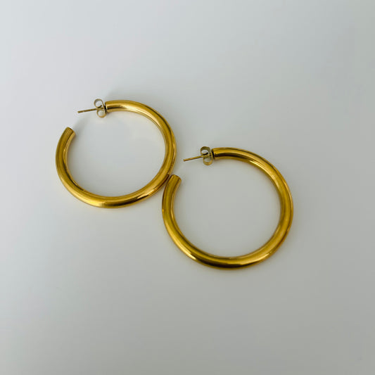 Medium Hoops Stainless Steel Gold Earrings